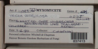 Image Associated With the Occurence